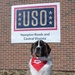 A round of ap-paws for USO therapy dogs