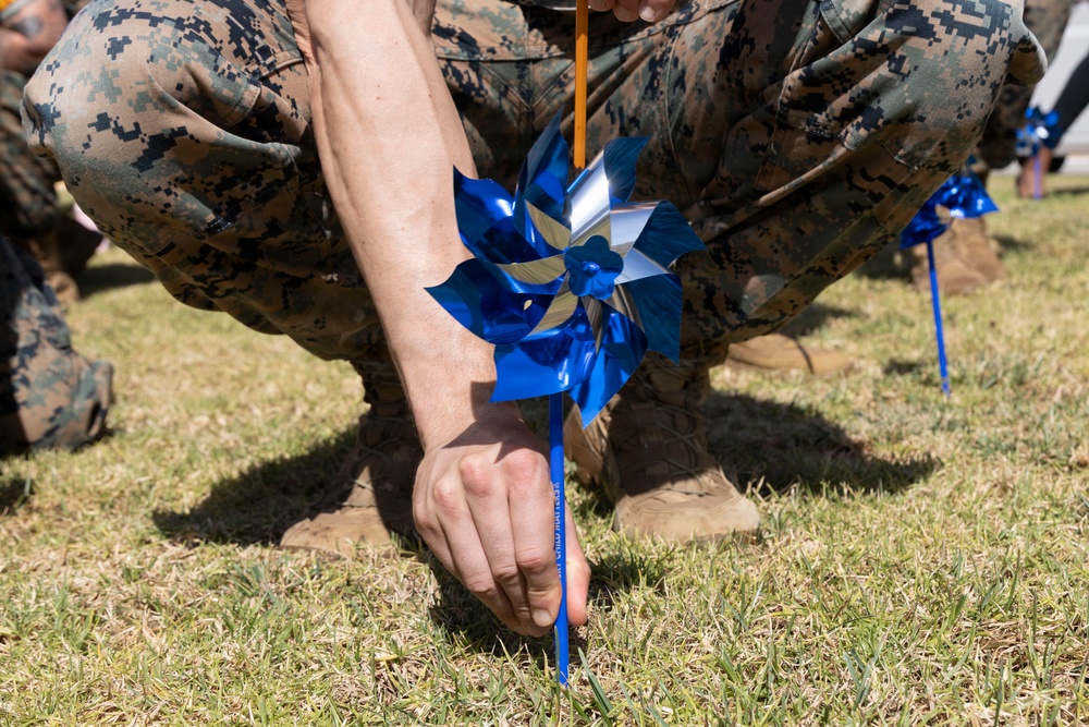 Pinwheels for Prevention