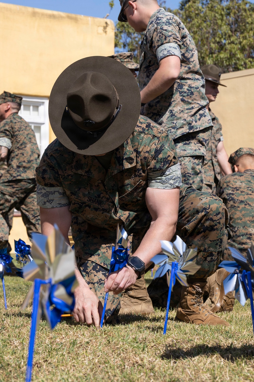 Pinwheels for Prevention