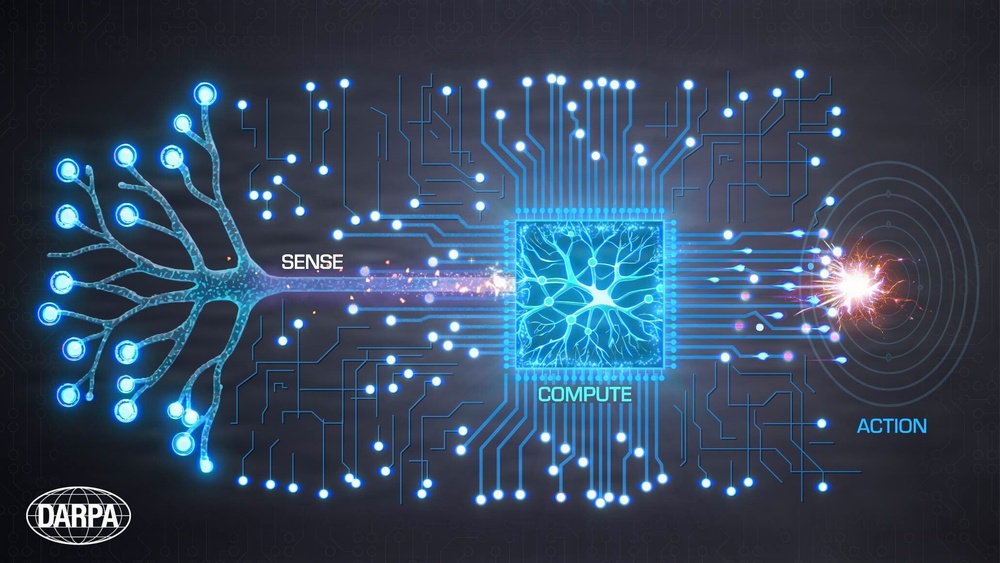 DARPA: O-Circuit platform