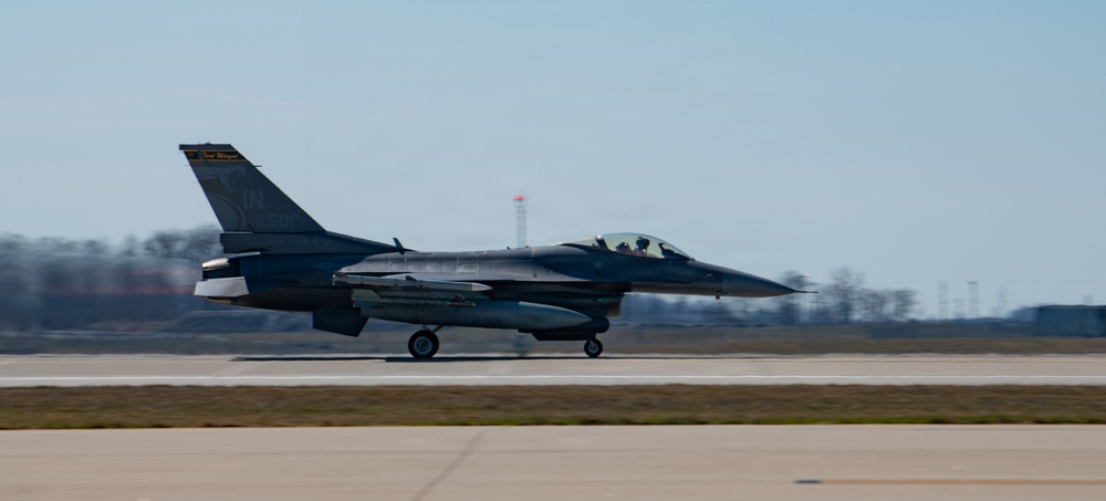 Blacksnakes fly high to stay sharp