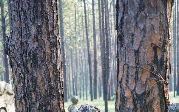 101st MFRC platoon leader briefs a Soldier during dismount mission