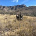 JTF-SB Service Members Utilize the Terrestrial Layered System Manpack on the Southern Border