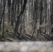WVNG, DCNG Soldiers Compete in Best Warrior Competition at Camp Dawson, WV.