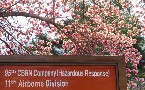 Camp Casey in Spring 2026