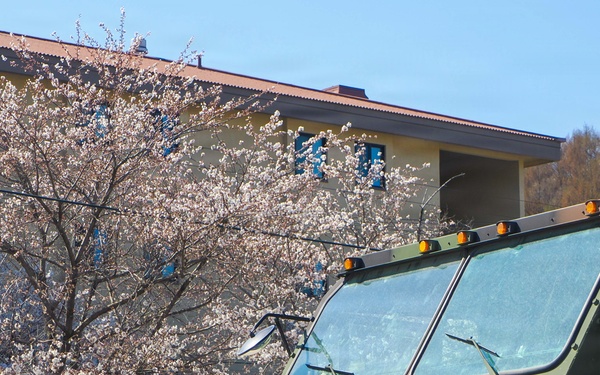 Camp Casey in Spring 2026