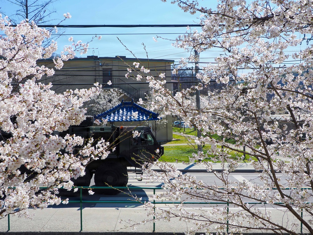 Camp Casey in Spring 2026