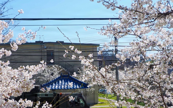 Camp Casey in Spring 2026