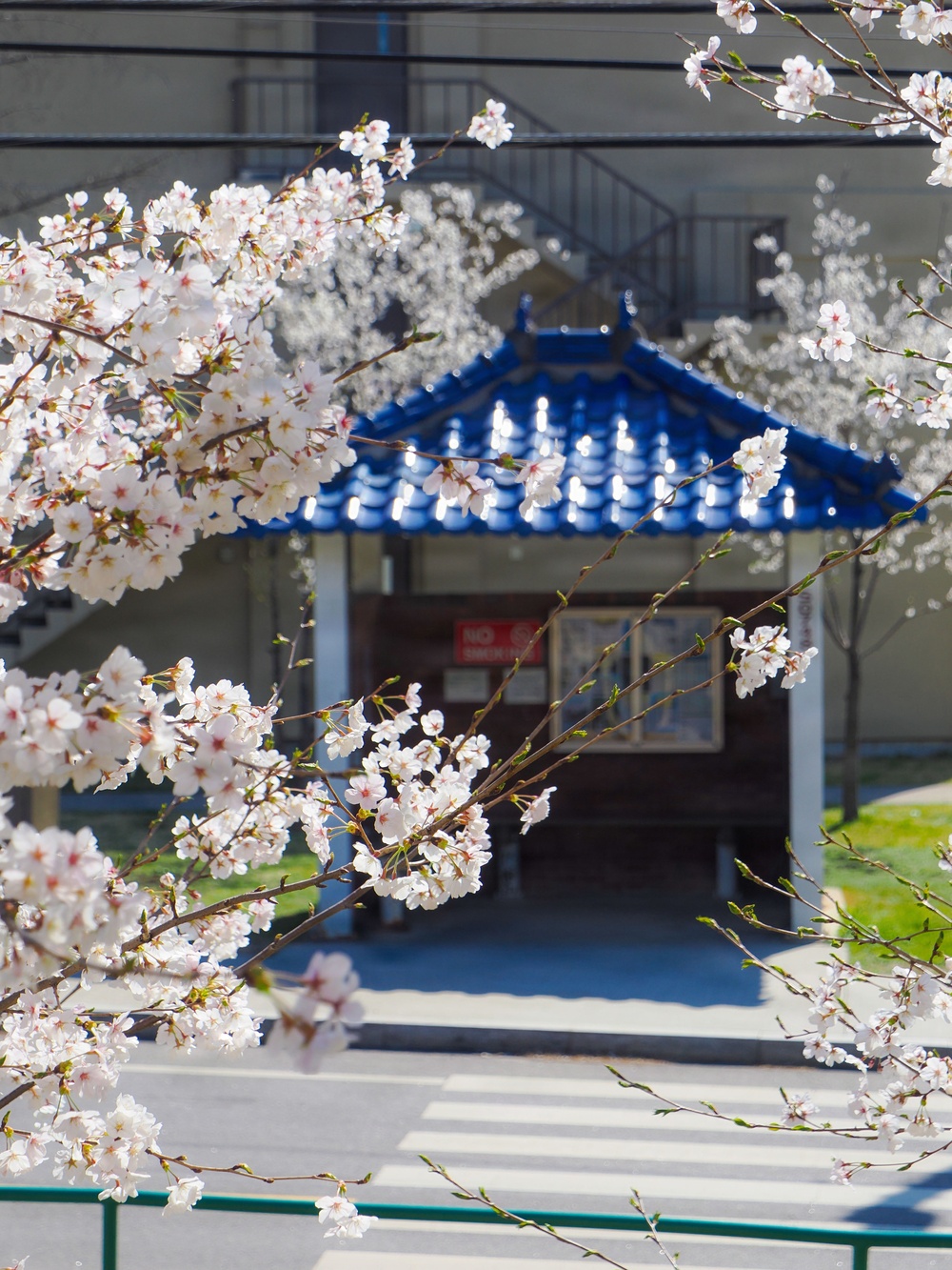 Camp Casey in Spring 2026