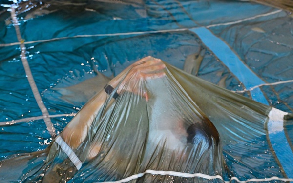 173rd Airborne Brigade Conducts Wet Silk Training