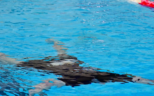 173rd Airborne Brigade Conducts Wet Silk Training