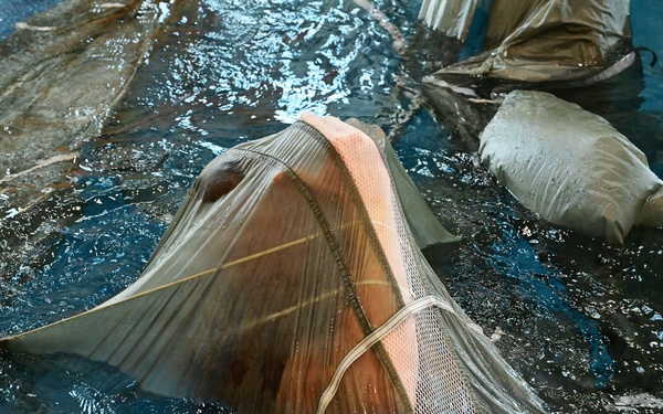 173rd Airborne Brigade Conducts Wet Silk Training