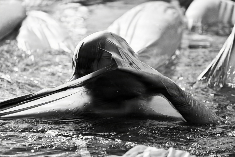 173rd Airborne Brigade Conducts Wet Silk Training