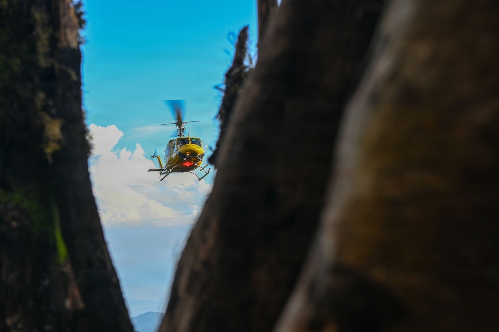 26-1 PG | Partner and Allies