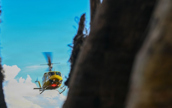 26-1 PG | Partner and Allies