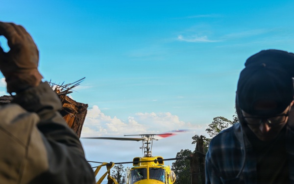 26-1 PG | Partner and Allies