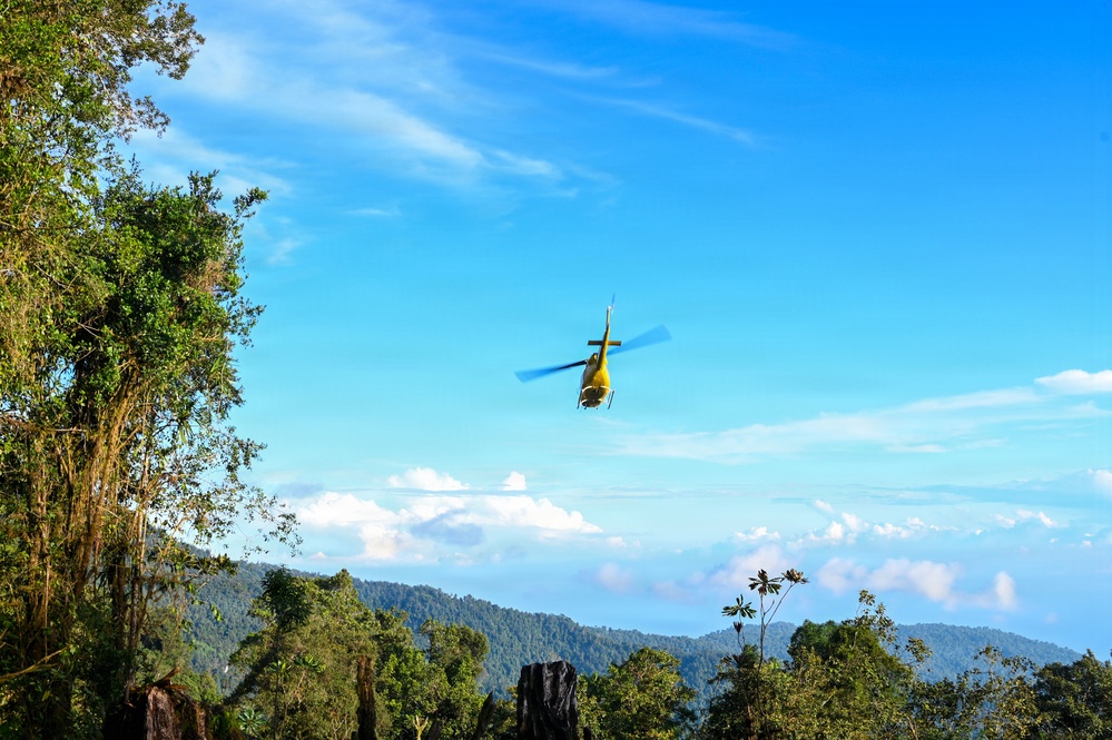 26-1 PG | Partner and Allies