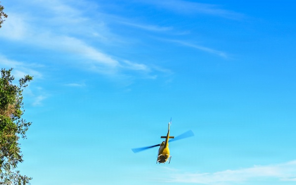 26-1 PG | Partner and Allies