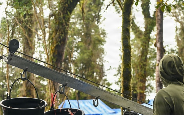 26-1 PG | Partner and Allies