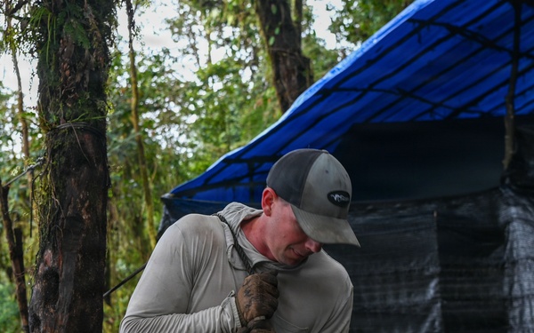 26-1 PG | Partner and Allies