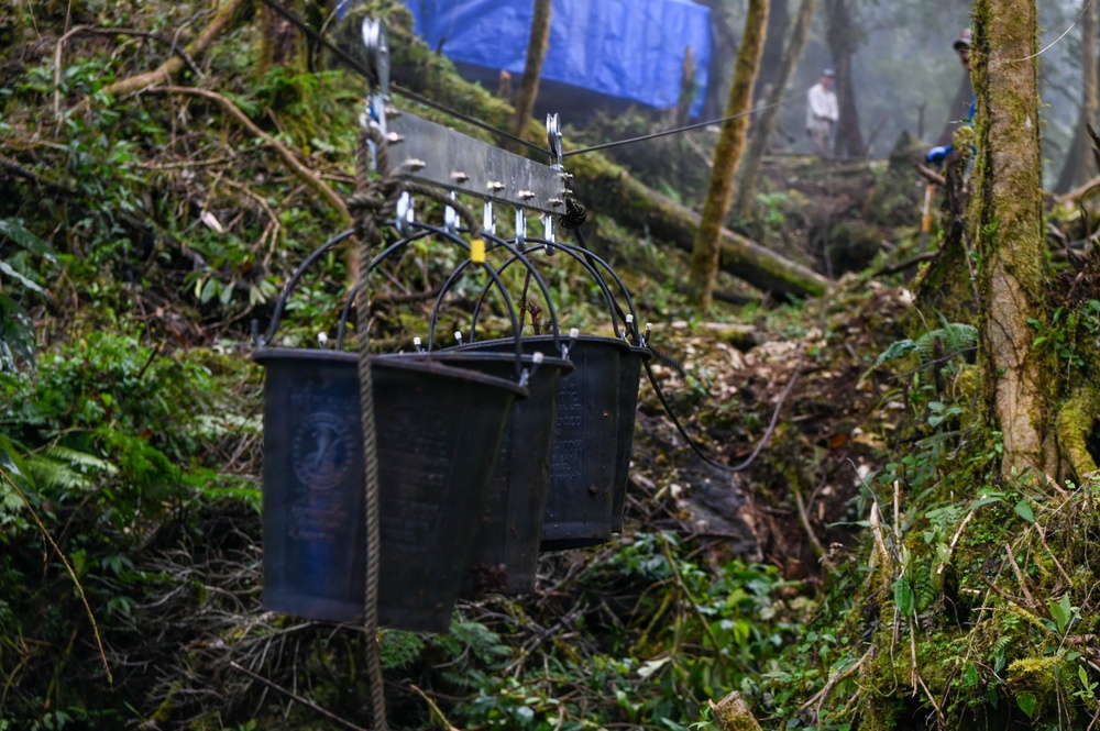 26-1 PG | Partner and Allies