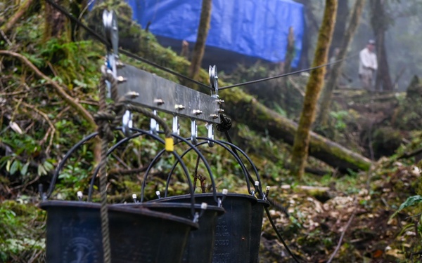 26-1 PG | Partner and Allies