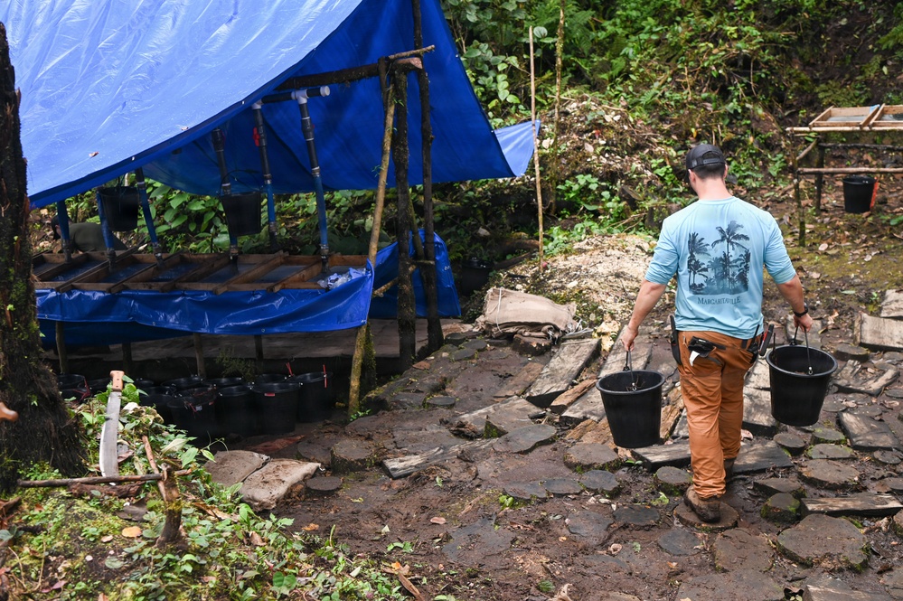 26-1 PG | Partner and Allies