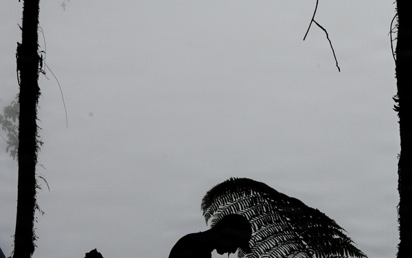 26-1 PG | Partner and Allies