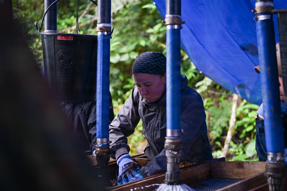 26-1 PG | Partner and Allies