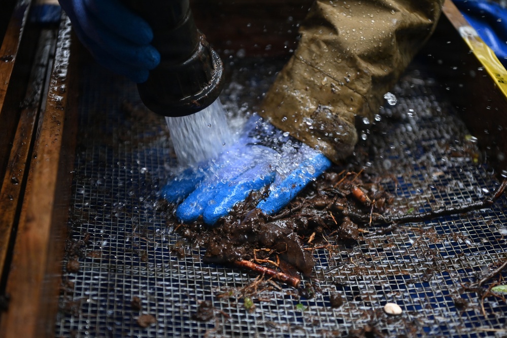 26-1 PG | Partner and Allies