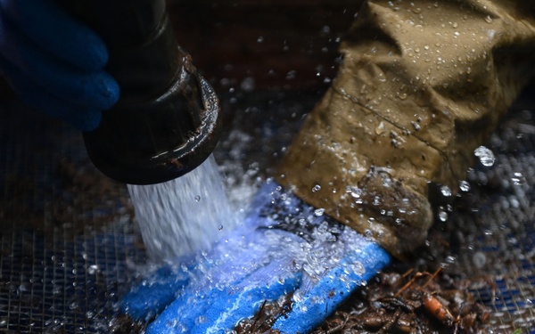 26-1 PG | Partner and Allies