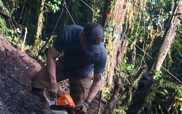 Excavation and Transfer