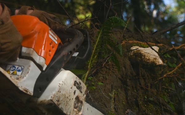 Excavation and Transfer