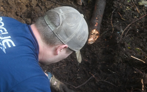 Excavation and Transfer