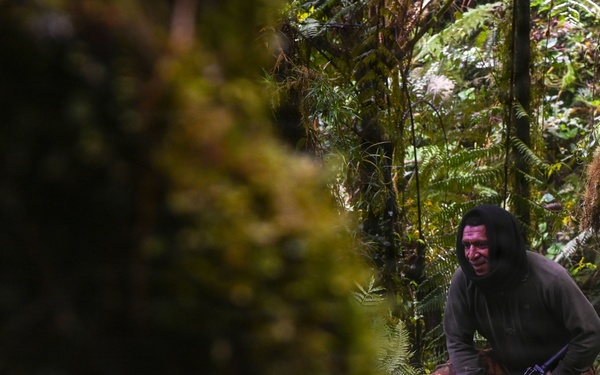 Excavation and Transfer