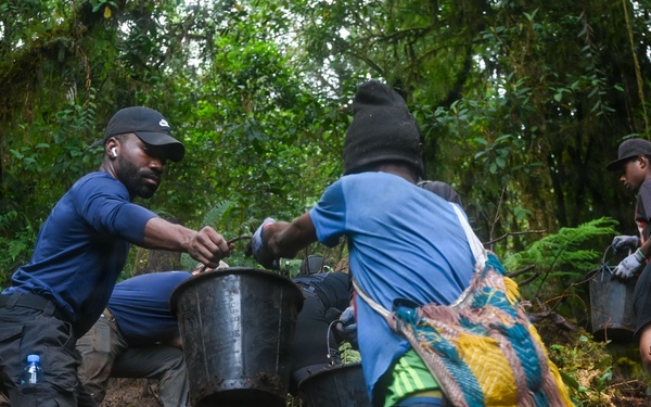 Excavation and Transfer