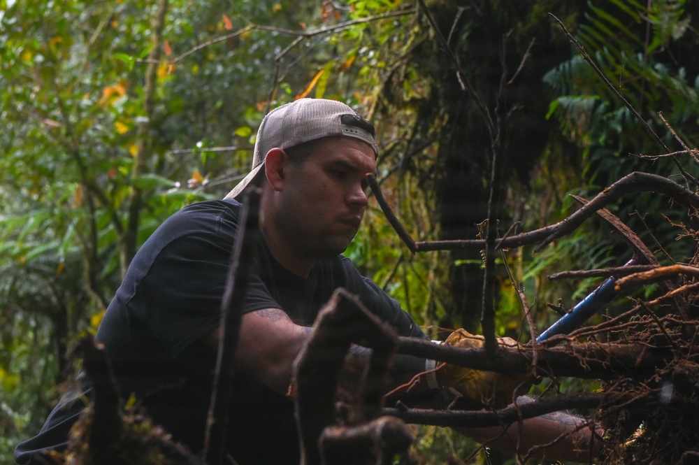 Excavation and Transfer