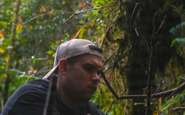 Excavation and Transfer