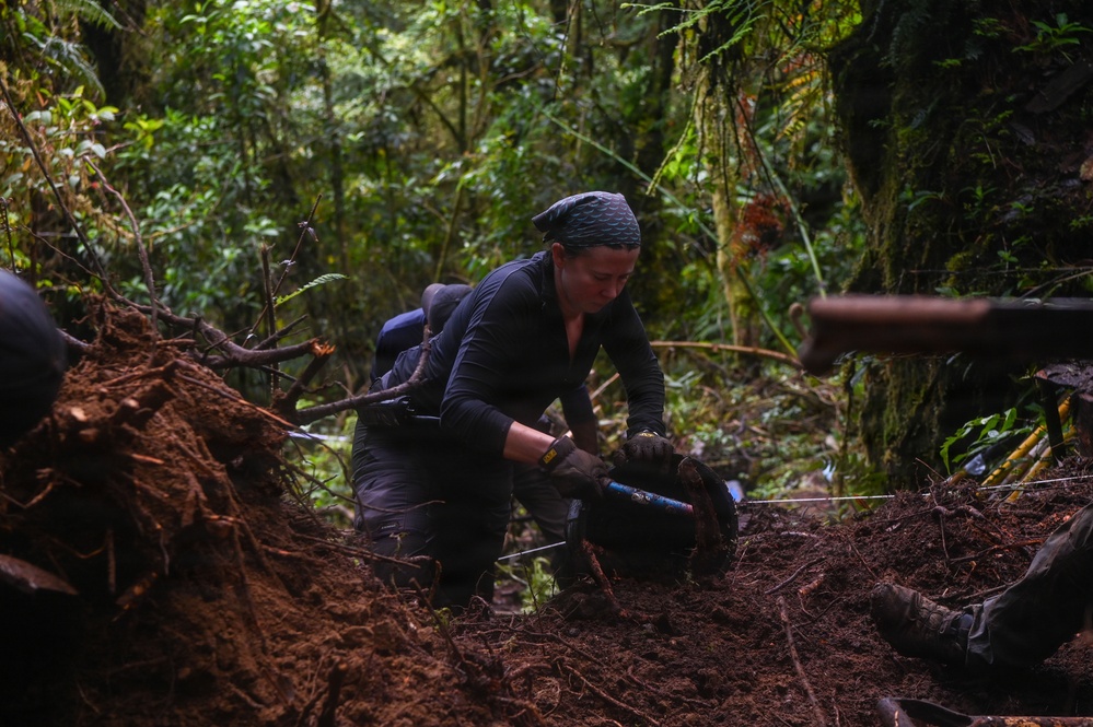 Excavation and Transfer