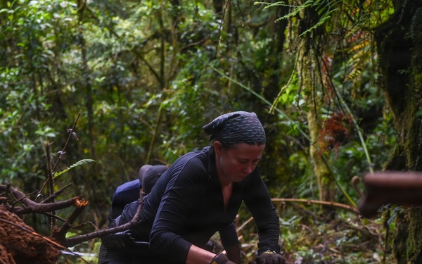 Excavation and Transfer