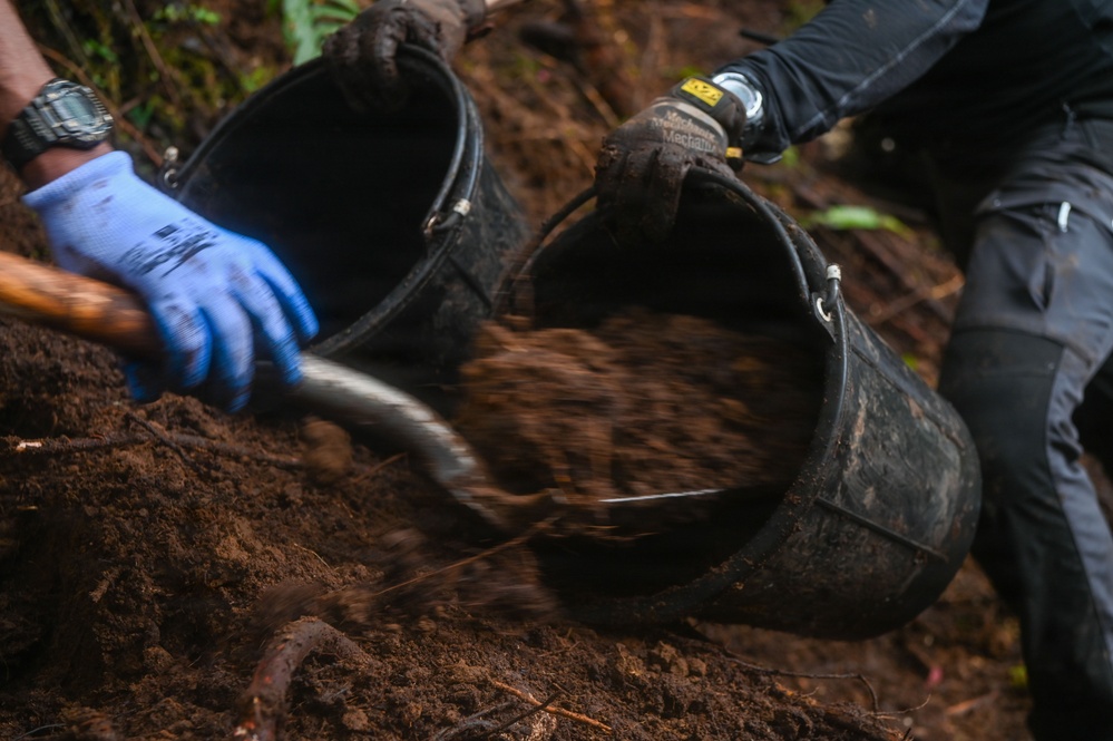 Excavation and Transfer