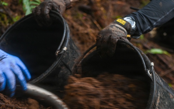 Excavation and Transfer