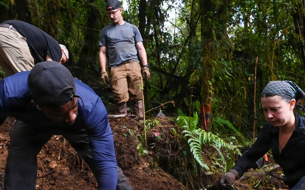 Excavation and Transfer