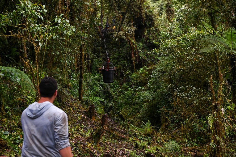 Excavation and Transfer