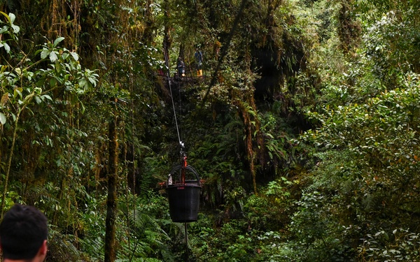 Excavation and Transfer