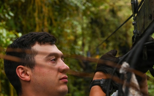 Excavation and Transfer