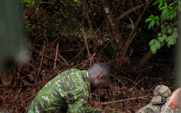 Dutch Armed Forces host mass casualty event during Flintlock 2026