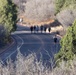 4-9 IN Manchu Reenlistment Ceremony at Garden of the Gods