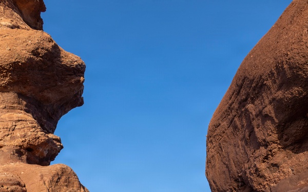 4-9 IN Manchu Reenlistment Ceremony at Garden of the Gods
