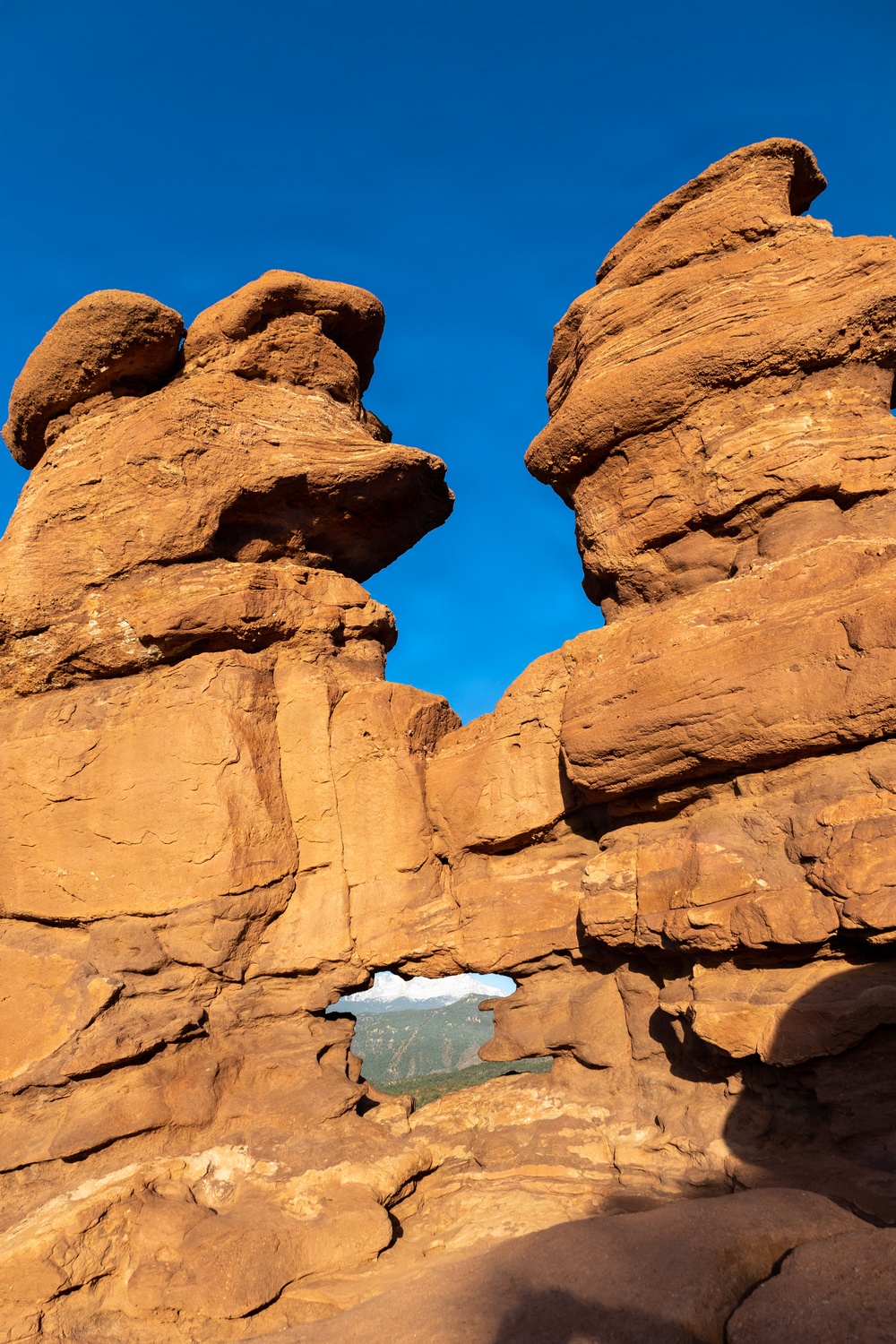 4-9 IN Manchu Reenlistment Ceremony at Garden of the Gods